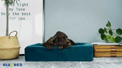 Bia Bed Royal Velvet Hoes For Dog Basket Essence