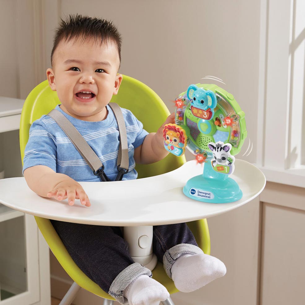 Vtech Animal Ferris Ferris Wheel