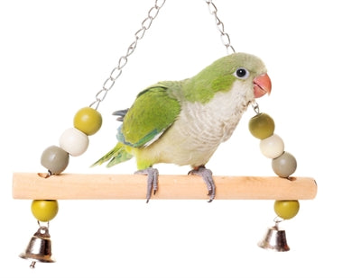 Zolux Swing Wood avec perles 2 chaîne d'appels