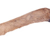 Petsnack reeen poot avec elle