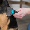 Trixie Carding Coat Chamber Burning Off