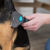 Trixie Carding Coat Chamber Burning Off
