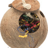 Trixie Coconut à Sisaltouw