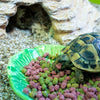 Bol de nourriture pour animaux de compagnie heureux vert feuille