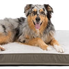 Trixie Vital Vital Orthopedic Pillow Taupe Gris clair