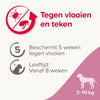 BEAPHAR FIPROTEC CHIEN CONTRE LE DESSION ET FLEA