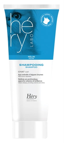 Hery Shampoing Kat