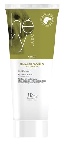 Chiots de shampoing héré