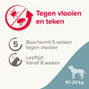 BEAPHAR FIPROTEC CHIEN CONTRE LE DESSION ET FLEA
