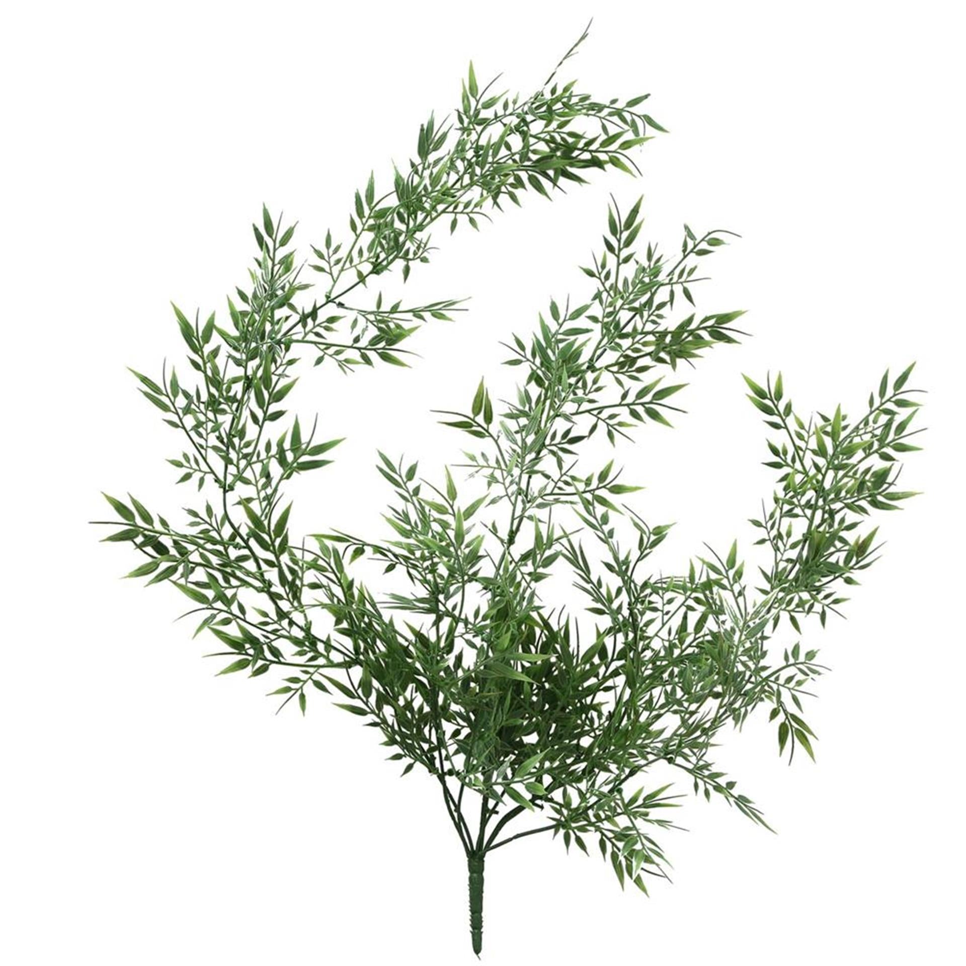 Boltze plante de décoration d'intérieur bambou