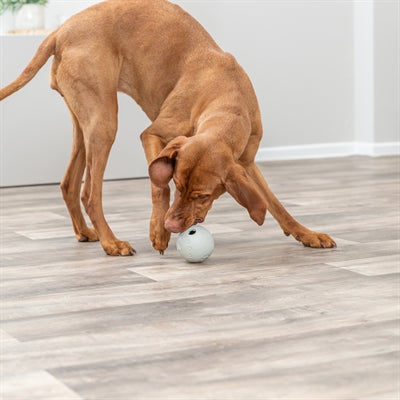 Trixie Snackball en caoutchouc vert lime