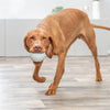 Trixie Snackball en caoutchouc vert lime