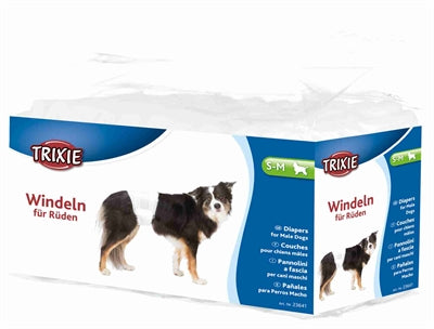 Trixie chien porte un mâle