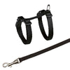 Trixie Kittenhew avec Belt Assorti