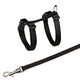 Trixie Kittenhew avec Belt Assorti
