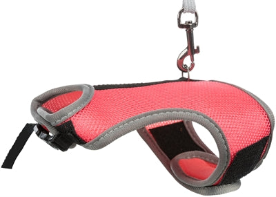 Trixie Rig pour les rongeurs assortis