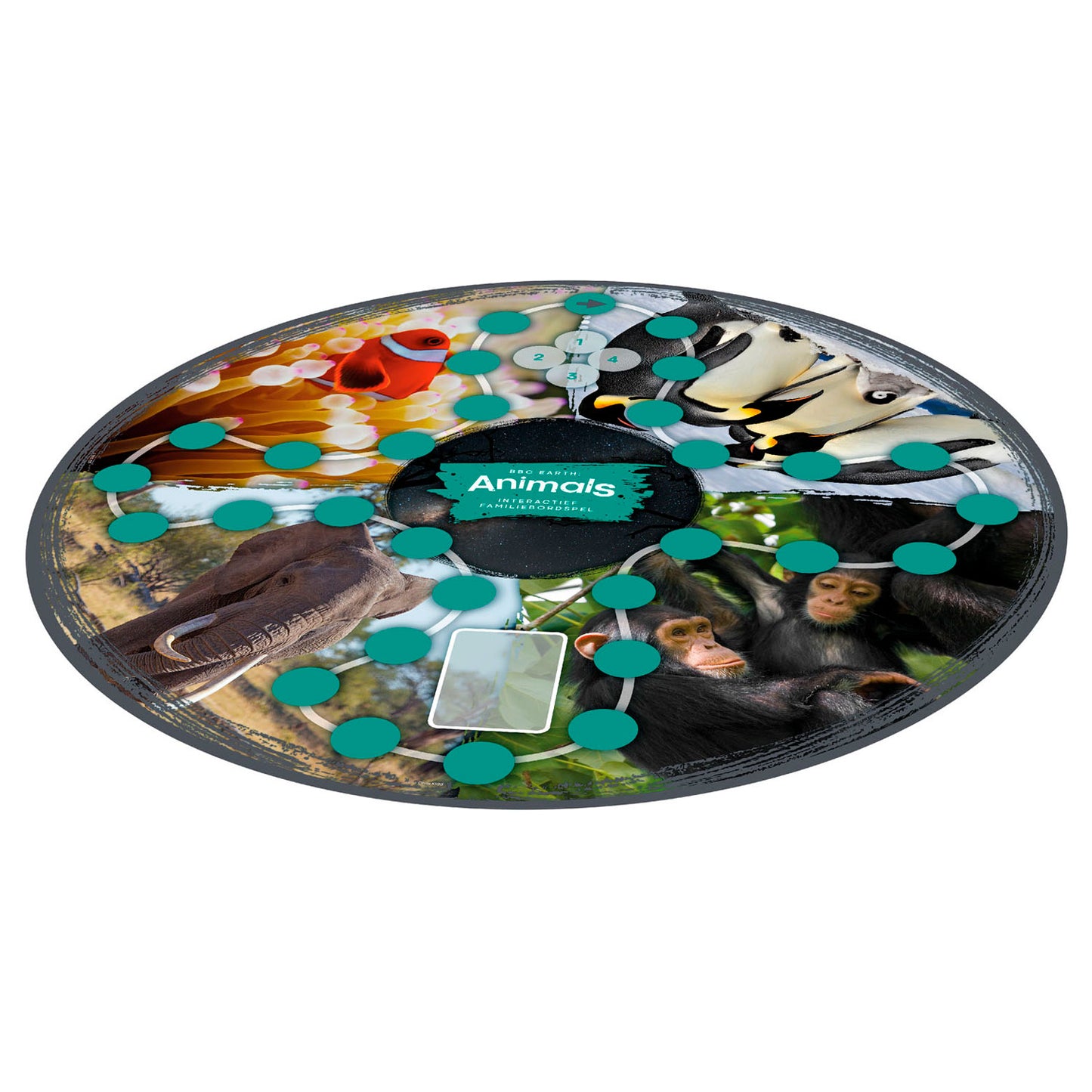 Jeux d'identité BBC Earth Animals Interactive Family Board Game
