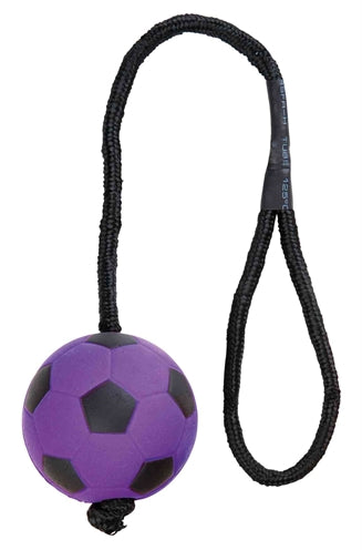 Trixie Sportball sur une gamme de mousse en mousse de corde