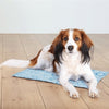 Trixie Cool Mat bleu clair
