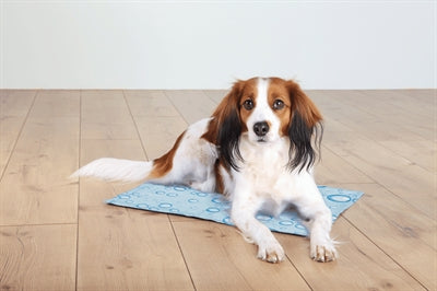 Tapis de refroidissement Trixie bleu clair