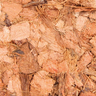 Chips de noix de coco Trixie Reptiland