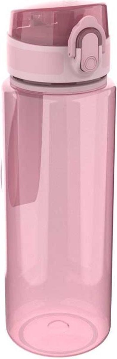 Lunch buddies gourde nordique junior 600 ml rose