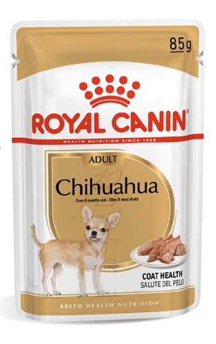 Piste de Chihuahua canin royal canin canin