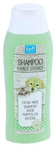 Gentille! Chiot de shampooing et chaton
