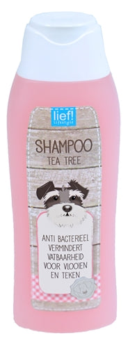 Gentille! Huile d'arbre à thé de shampooing