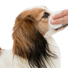 Trixie Eye Care Cleaning Paths à l'esprit