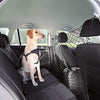 Trixie juste avant la voiture noire