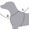 Trixie chien plus dur trikking aqua blue gris