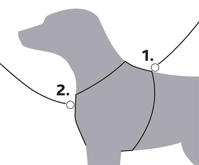 Trixie chien plus dur trikking aqua blue gris