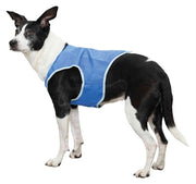Gilet de refroidissement trixie pva bleu - afbeelding 2