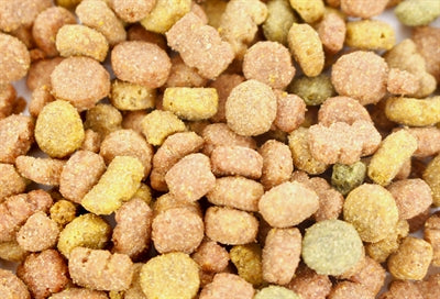 Je suis du bœuf de bonbons de chat