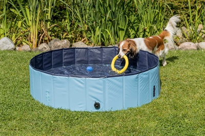 Trixie piscine pour chien bleu clair bleu