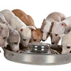 Trixie Junior Puppy alimentant le seau en acier inoxydable