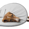 Trixie Protective Collar mousse en caoutchouc gris