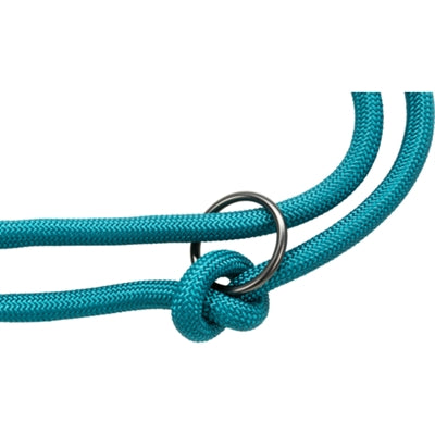 Trixie Dog LEASH Soyez gris clair à essence réglable nordique