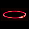 Collier de trixie USB lumière flash lumineuse TPU rechargeable rouge