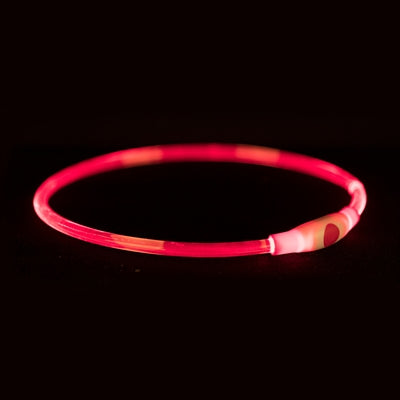Collier de trixie USB lumière flash lumineuse TPU rechargeable rouge