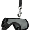 Trixie Softhuik avec ceinture pour Rattten Assorti