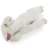 Afp petit copain coeur bat schaap