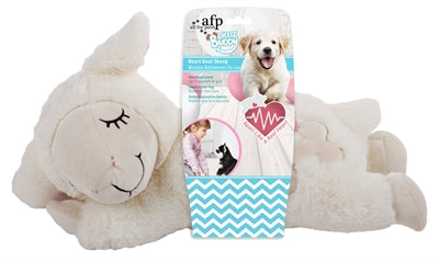 Afp petit copain coeur bat schaap
