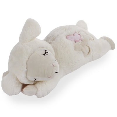 Afp petit copain coeur bat schaap