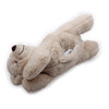 AFP Petit-Buddy Warm Bear