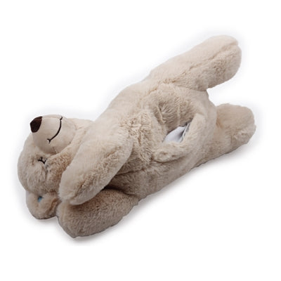 AFP Petit-Buddy Warm Bear