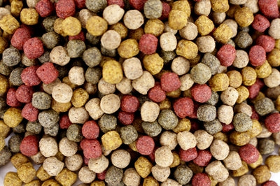 Utopie animal total étang grain flottant