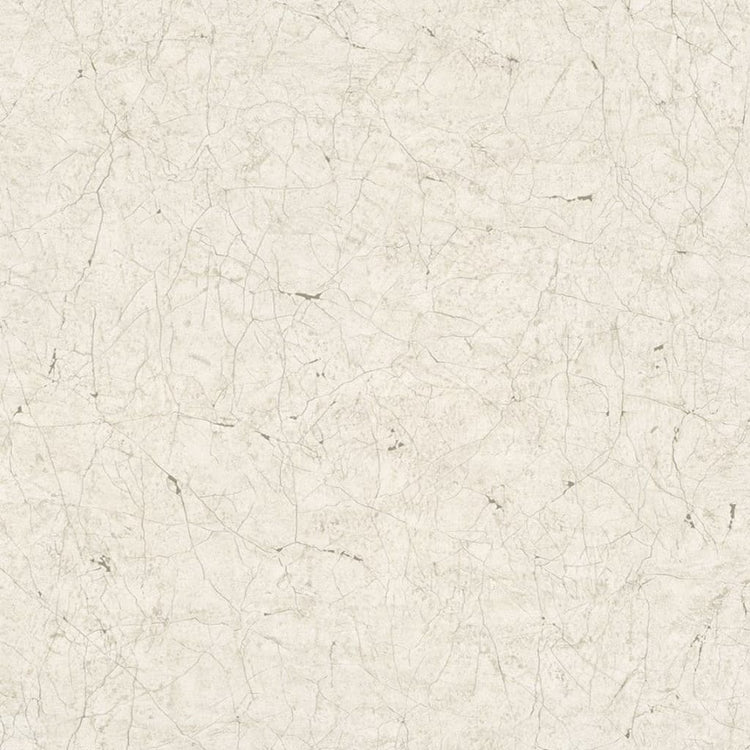 NOORDWAND NOORDWAND Fond d'écran vintage Deluxe Stucco Crackle Gris et blanc