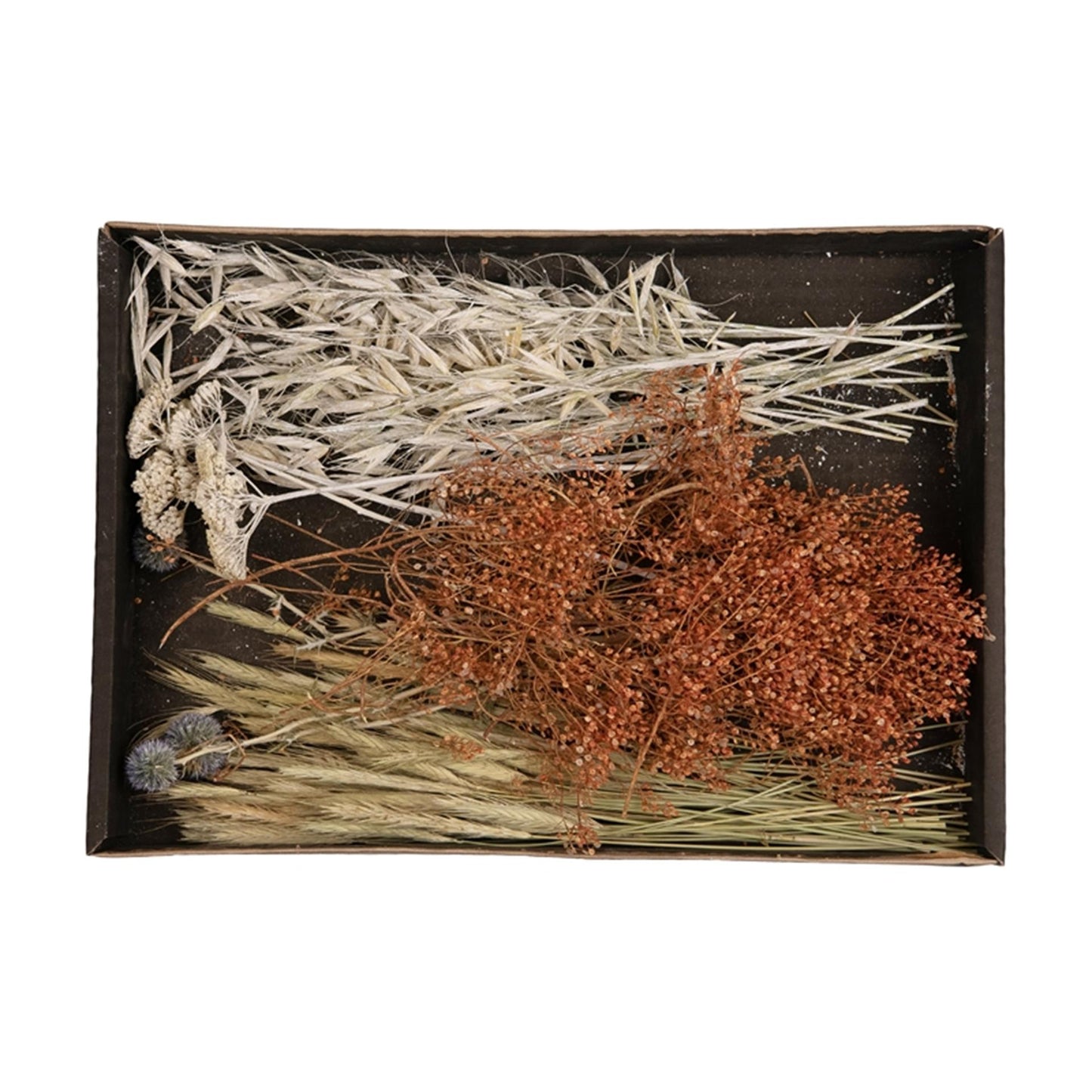 Plateau de mélange de fleurs séchées Natural Collections 38x26x5cm